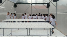 90ddb94d4c00e35eba11355