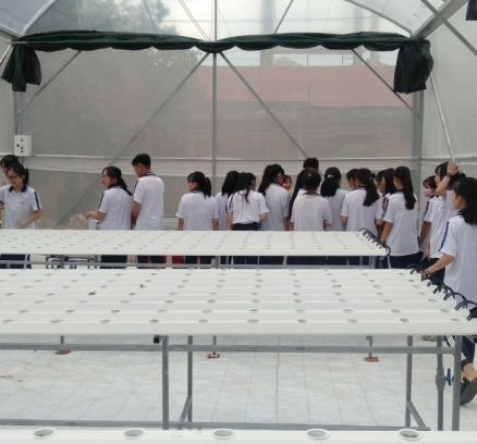 90ddb94d4c00e35eba11355