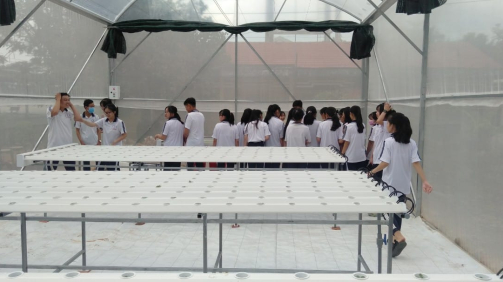 90ddb94d4c00e35eba11355