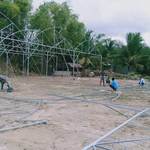 du-an-trong-dua-luoi-15ha-tai-tinh-bien-ag-10