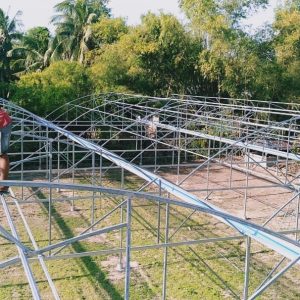 du-an-trong-dua-luoi-15ha-tai-tinh-bien-ag-2