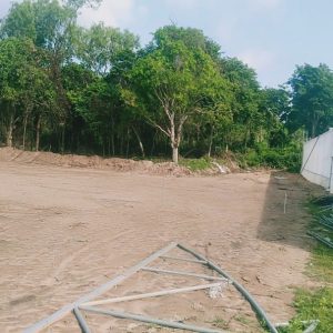 du-an-trong-dua-luoi-15ha-tai-tinh-bien-ag-24