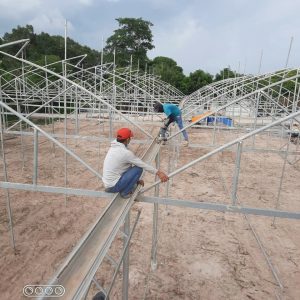 du-an-trong-dua-luoi-15ha-tai-tinh-bien-ag-3