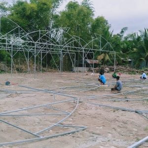 du-an-trong-dua-luoi-15ha-tai-tinh-bien-ag