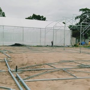 du-an-trong-dua-luoi-15ha-tai-tinh-bien-ag-35