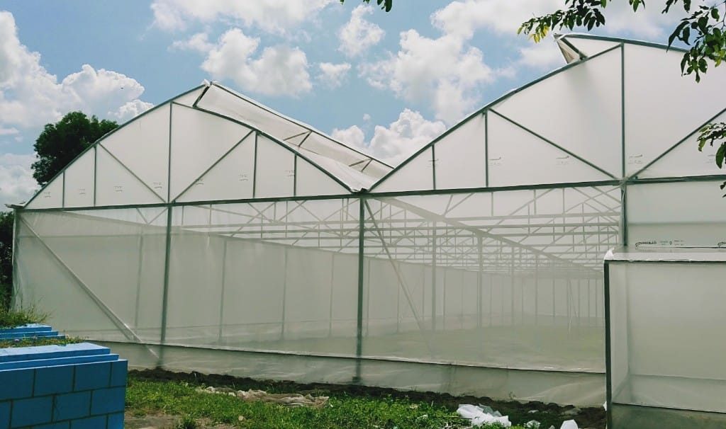 Thi công nhà màng khung thép mạ kẽm – Nhà Kính Thái Trí