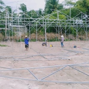 du-an-trong-dua-luoi-15ha-tai-tinh-bien-ag-8