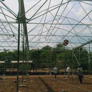 thi-cong-1000m2-trong-rau-dua-luoi-va-trong-nam-tai-binh-thuan-1