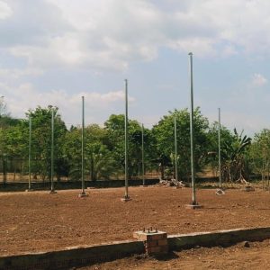 thi-cong-1000m2-trong-rau-dua-luoi-va-trong-nam-tai-binh-thuan-10