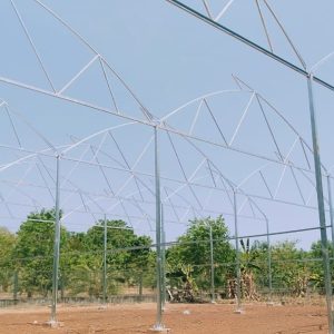 thi-cong-1000m2-trong-rau-dua-luoi-va-trong-nam-tai-binh-thuan-11