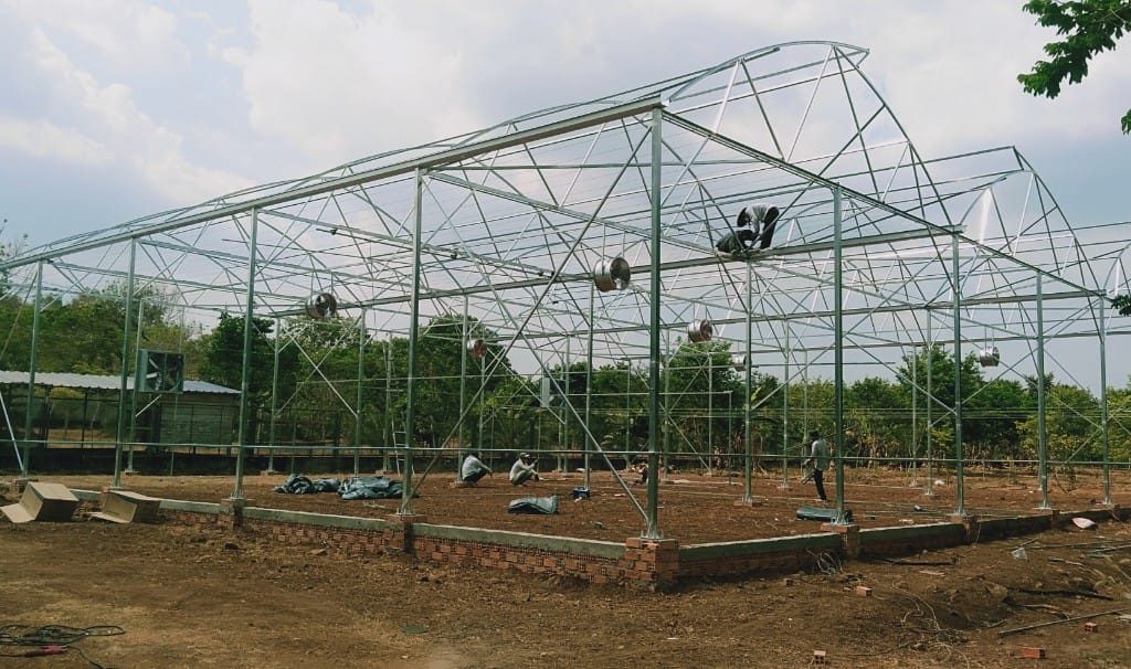 Thi công 1.000 m² trồng rau, dưa lưới và nấm tại Bình Thuận