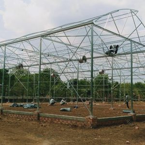 thi-cong-1000m2-trong-rau-dua-luoi-va-trong-nam-tai-binh-thuan-2