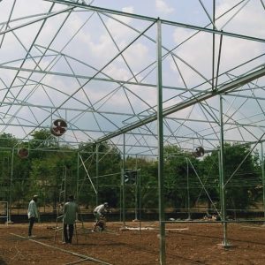 thi-cong-1000m2-trong-rau-dua-luoi-va-trong-nam-tai-binh-thuan-3