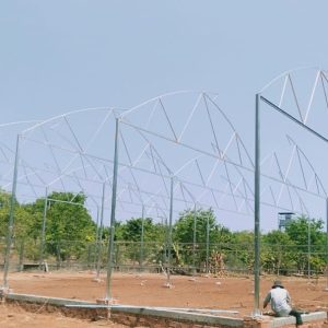 thi-cong-1000m2-trong-rau-dua-luoi-va-trong-nam-tai-binh-thuan