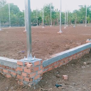 thi-cong-1000m2-trong-rau-dua-luoi-va-trong-nam-tai-binh-thuan-4