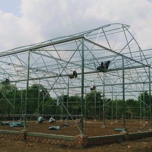 thi-cong-1000m2-trong-rau-dua-luoi-va-trong-nam-tai-binh-thuan-5