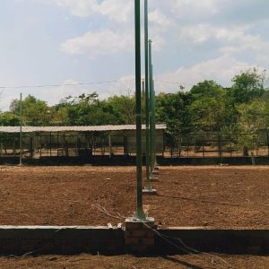 thi-cong-1000m2-trong-rau-dua-luoi-va-trong-nam-tai-binh-thuan-7