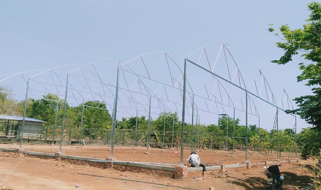 Nhà trồng rau, dưa lưới và nấm 1.000 m² tại Bình Thuận