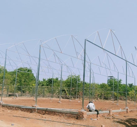 thi-cong-1000m2-trong-rau-dua-luoi-va-trong-nam-tai-binh-thuan-9