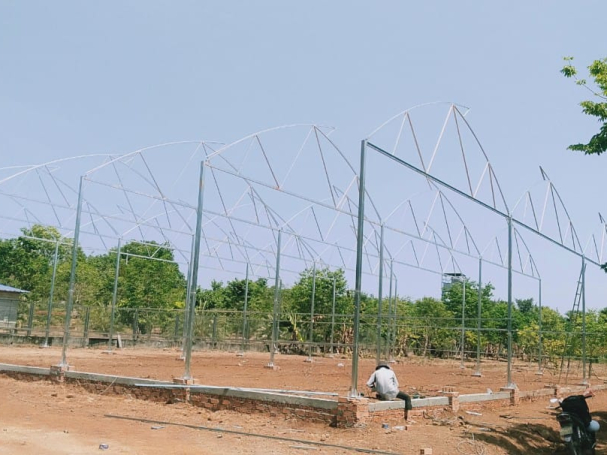 thi-cong-1000m2-trong-rau-dua-luoi-va-trong-nam-tai-binh-thuan-9