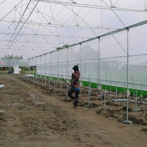 thi-cong-1500m2-trong-thuy-canh-tai-can-giuoc-long-an-10