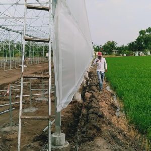 thi-cong-1500m2-trong-thuy-canh-tai-can-giuoc-long-an-11