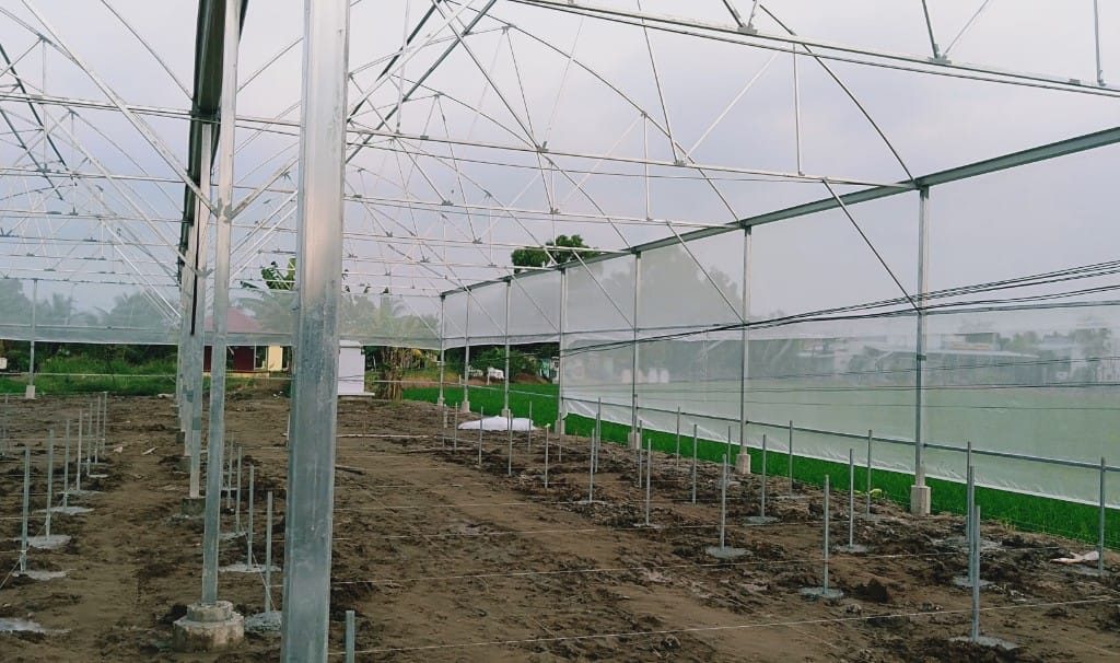 Nhà trồng thủy canh 1.500 m² tại Cần Giuộc, Long An