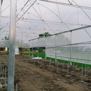 thi-cong-1500m2-trong-thuy-canh-tai-can-giuoc-long-an-12