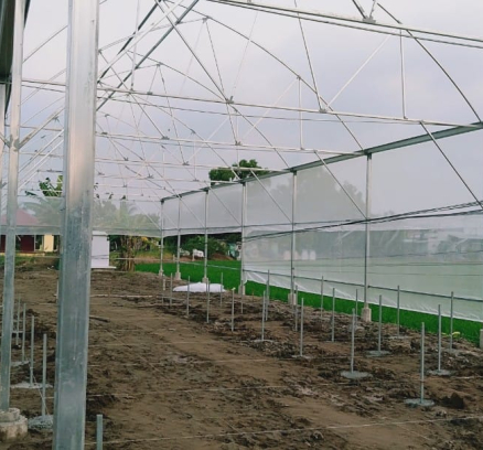 thi-cong-1500m2-trong-thuy-canh-tai-can-giuoc-long-an-12