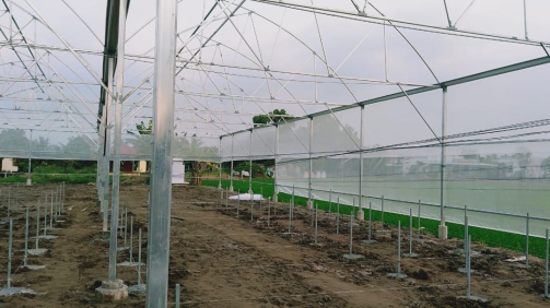 thi-cong-1500m2-trong-thuy-canh-tai-can-giuoc-long-an-12