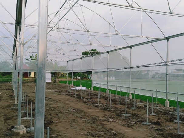 thi-cong-1500m2-trong-thuy-canh-tai-can-giuoc-long-an-12