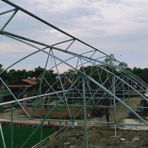 thi-cong-1500m2-trong-thuy-canh-tai-can-giuoc-long-an-13