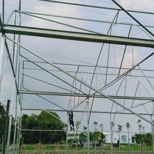 thi-cong-1500m2-trong-thuy-canh-tai-can-giuoc-long-an-14