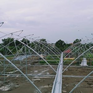 thi-cong-1500m2-trong-thuy-canh-tai-can-giuoc-long-an-15