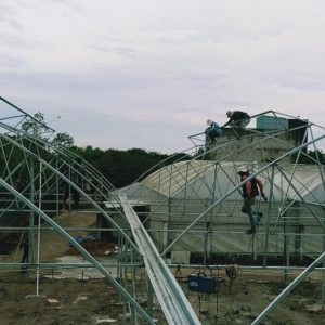 thi-cong-1500m2-trong-thuy-canh-tai-can-giuoc-long-an-17