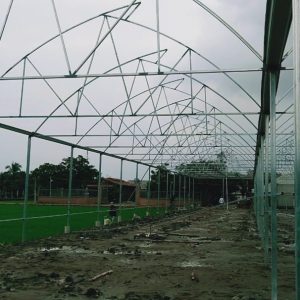 thi-cong-1500m2-trong-thuy-canh-tai-can-giuoc-long-an-18