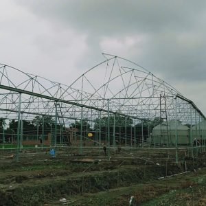 thi-cong-1500m2-trong-thuy-canh-tai-can-giuoc-long-an-19