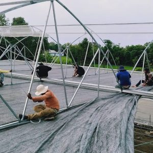 thi-cong-1500m2-trong-thuy-canh-tai-can-giuoc-long-an-2