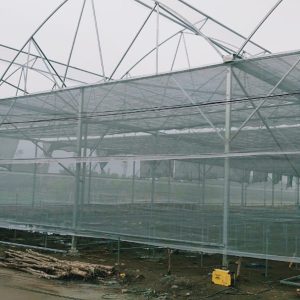 thi-cong-1500m2-trong-thuy-canh-tai-can-giuoc-long-an-20