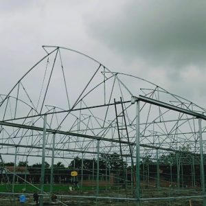 thi-cong-1500m2-trong-thuy-canh-tai-can-giuoc-long-an-21