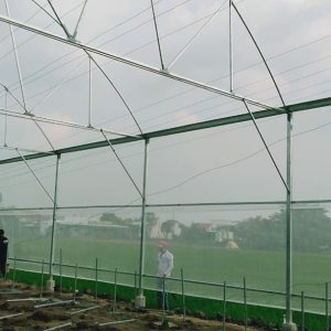 thi-cong-1500m2-trong-thuy-canh-tai-can-giuoc-long-an-23