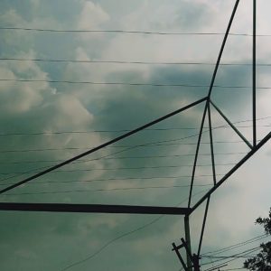 thi-cong-1500m2-trong-thuy-canh-tai-can-giuoc-long-an-24