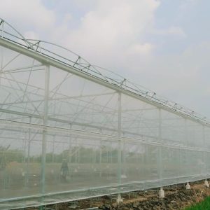 thi-cong-1500m2-trong-thuy-canh-tai-can-giuoc-long-an-25