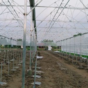 thi-cong-1500m2-trong-thuy-canh-tai-can-giuoc-long-an-3