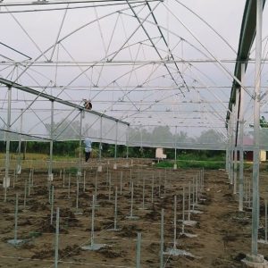 thi-cong-1500m2-trong-thuy-canh-tai-can-giuoc-long-an-4