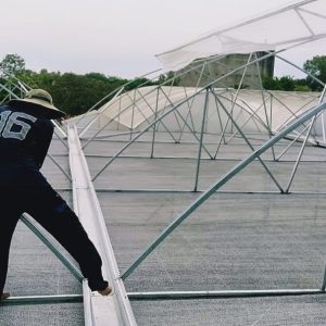 thi-cong-1500m2-trong-thuy-canh-tai-can-giuoc-long-an-7