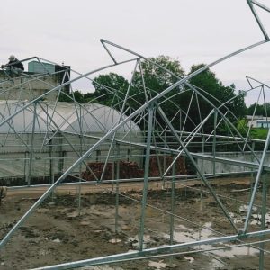 thi-cong-1500m2-trong-thuy-canh-tai-can-giuoc-long-an-8