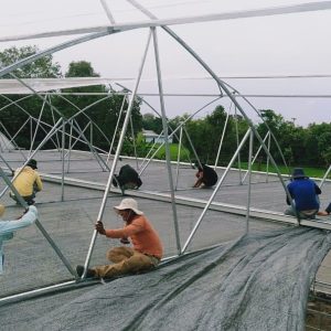 thi-cong-1500m2-trong-thuy-canh-tai-can-giuoc-long-an-9