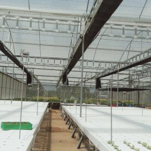 thi-cong-2000m2-cat-nang-va-he-thong-thuy-canh-tai-tan-an-long-an-18