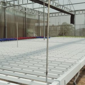 thi-cong-2000m2-cat-nang-va-he-thong-thuy-canh-tai-tan-an-long-an-20